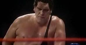 Hulk Hogan vs Andre The Giant WWF Championship WrestleMania 3 1987
