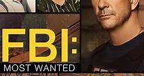 FBI: Most Wanted - guarda la serie in streaming