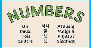 Numbers in the World's Languages