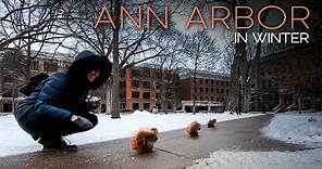 Winter in Ann Arbor | Walking through Downtown and Campus of University of Michigan