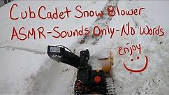 Satisfying Snow Removal - ASMR - Cub Cadet Snow Blower vs My Steep Driveway and a 2 Foot Snow Wall