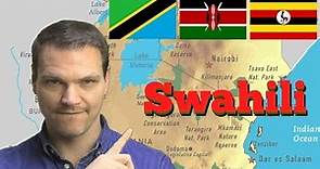The Swahili Language
