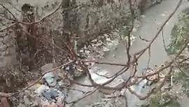 انباشت زباله در بستر رودخانه