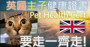 [寵物移民英國] 英國寵物健康證書點填? [主子專用] [GB Pet Health Certificate] | 港短.英移​​​​ #寵物移民 #寵物移民英國 #英國寵物移民
