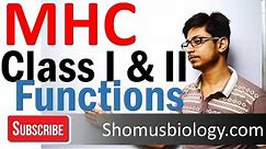 MHC class 1 and 2 | Major histocompatibility complex