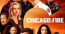 Chicago Fire temporada 9 - Ver todos los episodios online