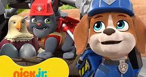 Rubble & Crew Builds an Eagle Nest for Baby Birds! w/ Charger & Wheeler | Nick Jr.