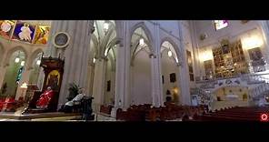 Misa del Domingo de Ramos desde la Catedral de la Almudena en 360º