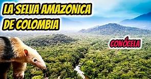 LA SELVA DE COLOMBIA, La selva de Colombia documental, LA SELVA AMAZONICA DE COLOMBIA