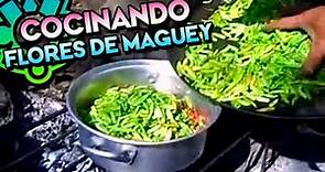 LA FLOR DE MAGUEY Preparación Documental (Quiotes o Gualumbos) Platillo Prehispánico Comida Mexicana