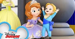 Sisters and Brothers | Music Video | Sofia the First | Disney Junior