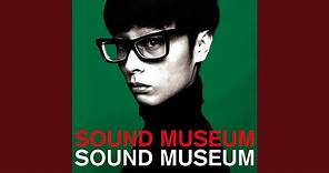 THE SOUND MUSEUM