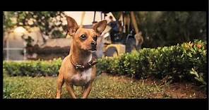 Beverly Hills Chihuahua Full Trailer