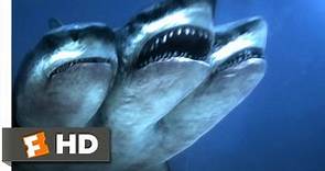 3 Headed Shark Attack (4/10) Movie CLIP - Dying to Be a Distraction (2015) HD
