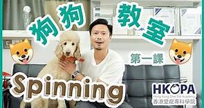 【一分鐘犬隻訓練】HKOPA x 犬隻訓練師Eric 狗狗教室第一課 (Spinning）/ Eric Chan Dog Training Lesson 01 (Spinning)