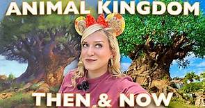 What's Left Of Animal Kingdom?! | 25 Years of Disney World History | Original Rides, Shows, & Snacks