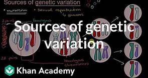 Sources of genetic variation | Inheritance and variation | High school biology | Khan Academy