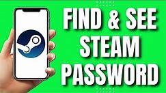 How To See Steam Password While Logged In Find Steam Password (2023)