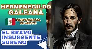 Hermenegildo Galeana: El bravo insurgente sureño. | Biografía breve.