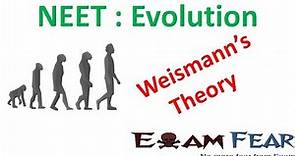 NEET Biology Evolution : Weismann Theory of Continuity of Germplasm
