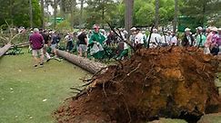 3 trees fall near spectators at Masters