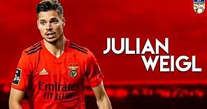 Julian Weigl - Best Skills, Goals & Assists