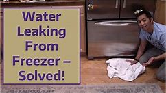 Water Leaking From Freezer – Solved!