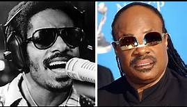 The Life and Tragic Ending of Stevie Wonder