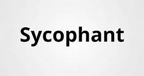 Sycophant | Definition & Pronunciation | Learn English Vocabulary