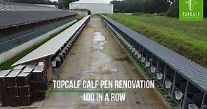 Renovation of 100 calf pens according to the principles of Topcalf Calf Housing