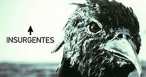 Insurgentes | Steven Wilson Documentary | 2008