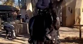 Jean Dujardin à cheval pour incarner Zorro