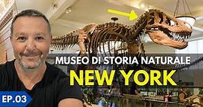 il MUSEO di STORIA NATURALE a NEW YORK 🇺🇸 Come nel Film una Notte al Museo