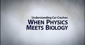 Understanding Car Crashes: When Physics Meets Biology