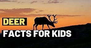 Deer Facts For Kids | Discover the Fascinating World of Deer for Kids | Fun Facts and Information