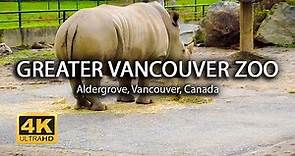 [4K] Greater Vancouver Zoo | Canada | Walking Tour | Island Times