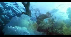 Inmersion Letal (Into The Blue) (John Stockwell, EEUU, 2005) - Official Trailer (HD)
