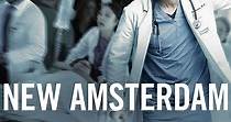 New Amsterdam - Ver la serie de tv online