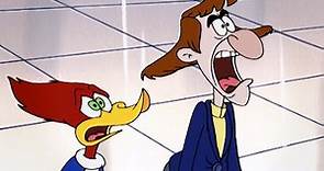 Woody Woodpecker | Couples Therapy + More Full Episodes