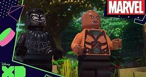 Black Panther: Lío en Wakanda - El laberinto de Tal-Recs | Disney XD Oficial