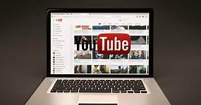 11 Best Free & Paid Youtube Downloader Software in 2024