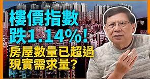 (中字)香港樓價指數跌1.14%！房屋數量已超過現實需求量？我認為樓價非跌不可！團結香港基金依然鞭策政府瘋狂蓋樓！估未來每年公營房屋將突破四萬棟？！《蕭若元：蕭氏新聞台》2022-07-27