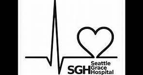Seattle Grace Hospital RBLX Live Stream