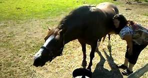 Alicia Rubbing Bills Horse Belly