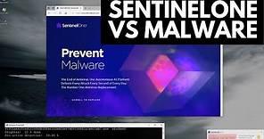 SentinelOne Review | Tested vs Malware