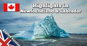 Things to do in Newfoundland & Labrador (documentary)