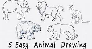 🟢 5 Easy Animal Drawing for Kids