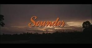 Sounder (1972, trailer) [Cicely Tyson, Paul Winfield, Kevin Hooks, Taj Mahal, Janet MacLachlan]