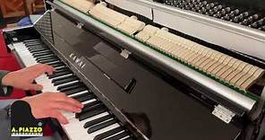 KAWAI ND21 - Il miglior pianoforte verticale per qualità/prezzo?