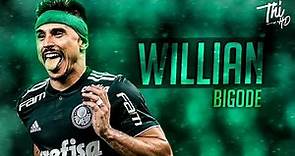 Willian "Bigode" ► Palmeiras ● Gols, Dribles e Assistências | HD 2020